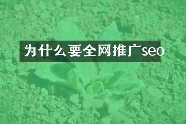 为什么要全网推广seo