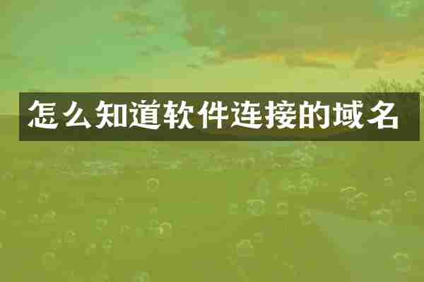 怎么知道软件连接的域名