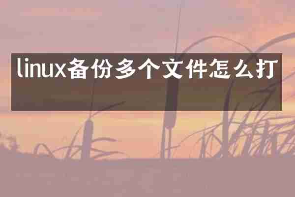 linux备份多个文件怎么打开