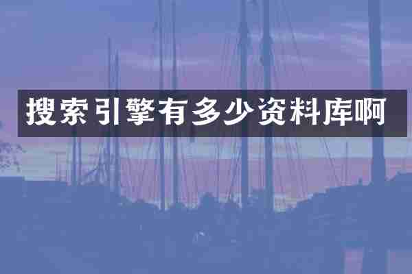 搜索引擎有多少资料库啊