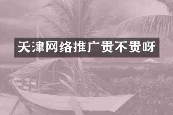 天津网络推广贵不贵呀