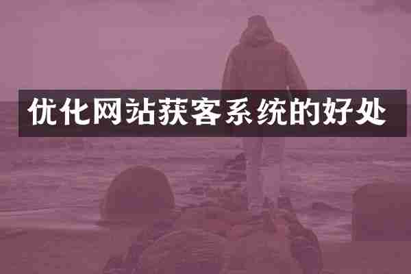 优化网站获客系统的好处
