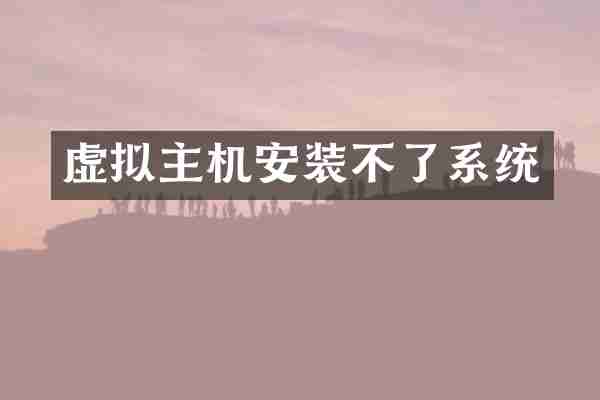 虚拟主机安装不了系统