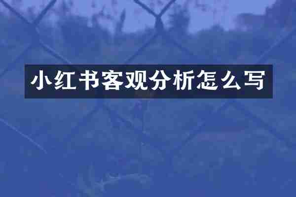 小红书客观分析怎么写