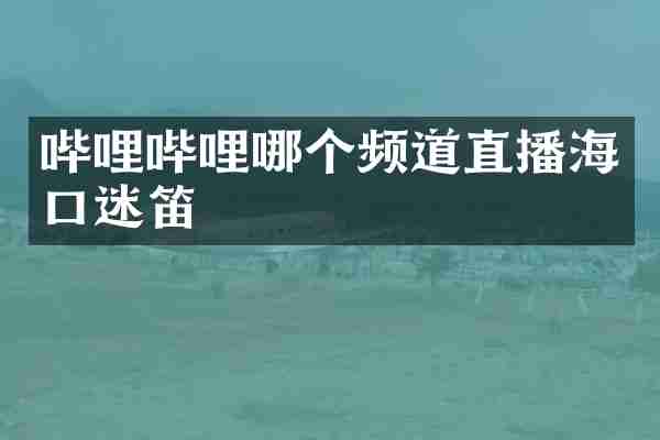 哔哩哔哩哪个频道直播海口迷笛