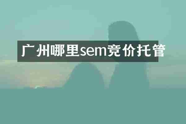 广州哪里sem竞价托管