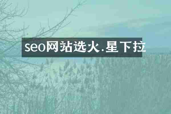 seo网站选火.星下拉
