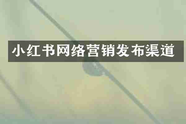 小红书网络营销发布渠道