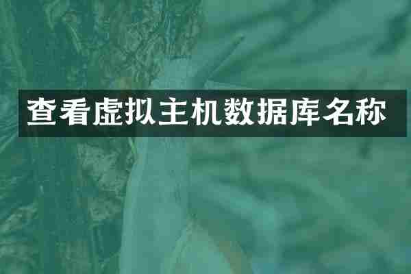 查看虚拟主机数据库名称