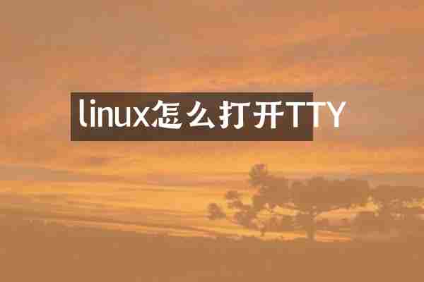 linux怎么打开TTY