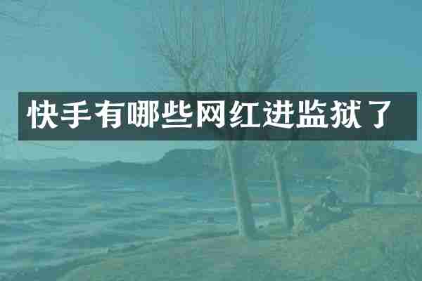 快手有哪些网红进监狱了
