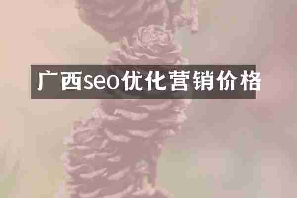 广西seo优化营销价格