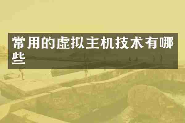 常用的虚拟主机技术有哪些