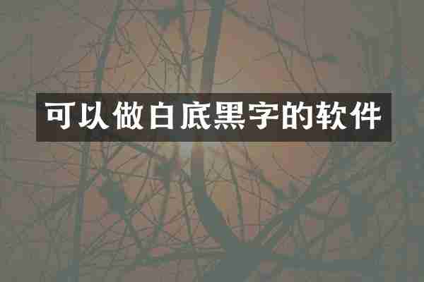 可以做白底黑字的软件