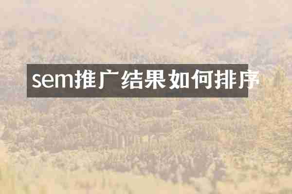 sem推广结果如何排序
