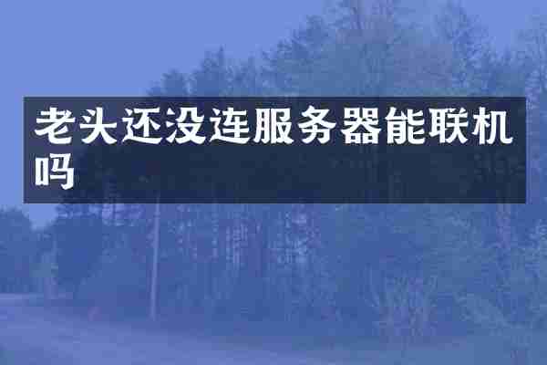 老头还没连服务器能联机吗