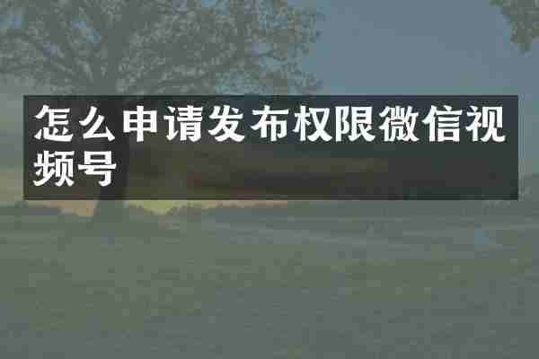 怎么申请发布权限微信视频号