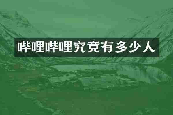 哔哩哔哩究竟有多少人