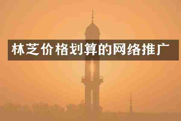 林芝价格划算的网络推广