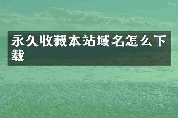 永久收藏本站域名怎么下载