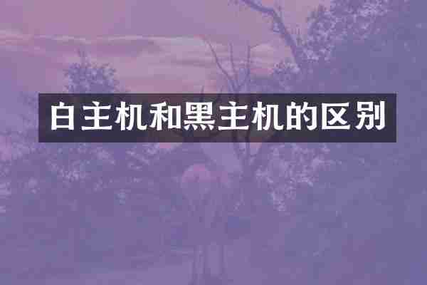 白主机和黑主机的区别