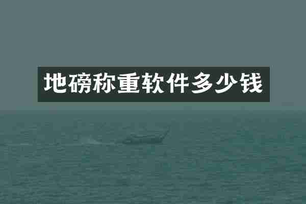 地磅称重软件多少钱