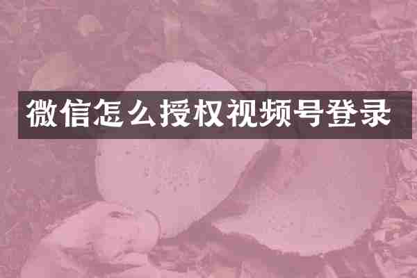 微信怎么授权视频号登录
