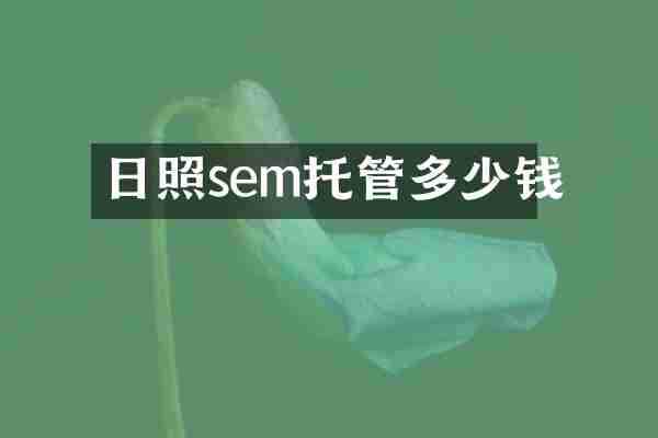日照sem托管多少钱