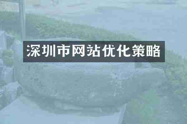 深圳市网站优化策略