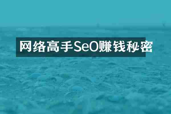 网络高手SeO赚钱秘密