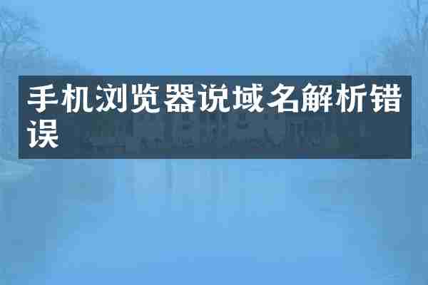 手机浏览器说域名解析错误