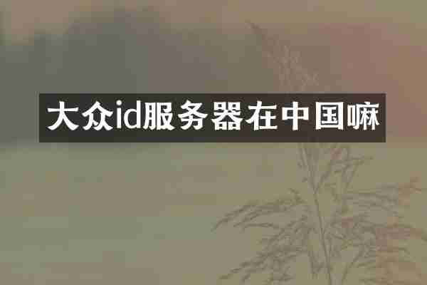 大众id服务器在中国嘛