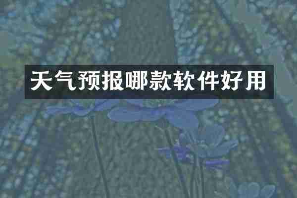 天气预报哪款软件好用