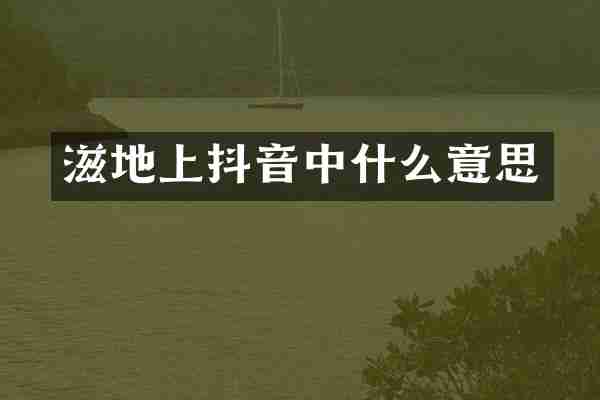 滋地上抖音中什么意思