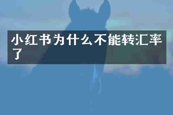 小红书为什么不能转汇率了