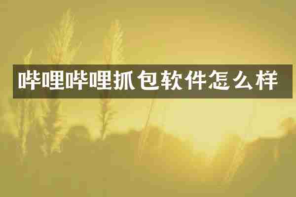 哔哩哔哩抓包软件怎么样