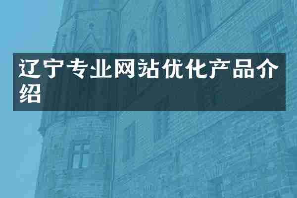 辽宁专业网站优化产品介绍