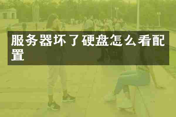 服务器坏了硬盘怎么看配置