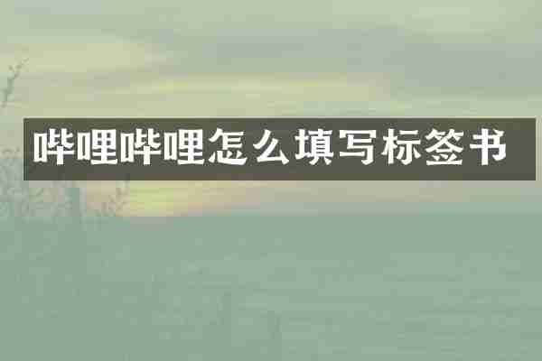 哔哩哔哩怎么填写标签书