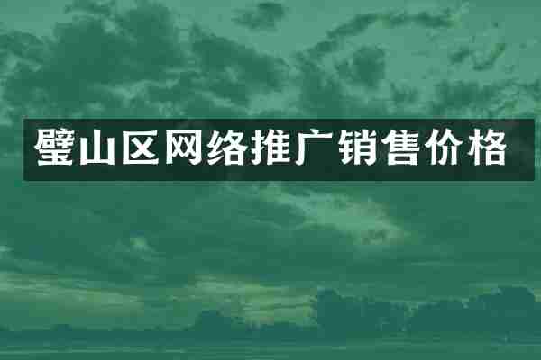 璧山区网络推广销售价格