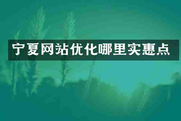 宁夏网站优化哪里实惠点