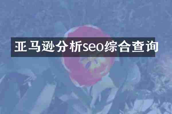 亚马逊分析seo综合查询