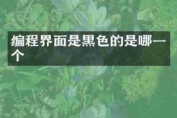 编程界面是黑色的是哪一个
