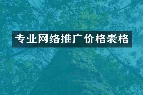 专业网络推广价格表格