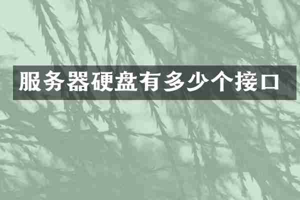 服务器硬盘有多少个接口