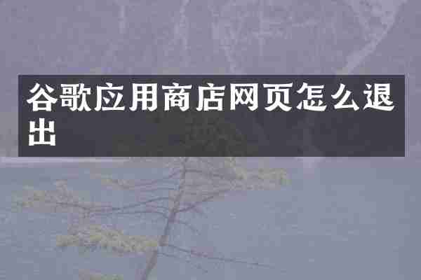 谷歌应用商店网页怎么退出