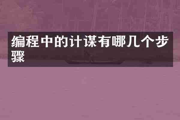 编程中的计谋有哪几个步骤