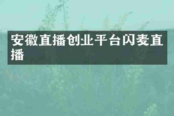 安徽直播创业平台闪麦直播