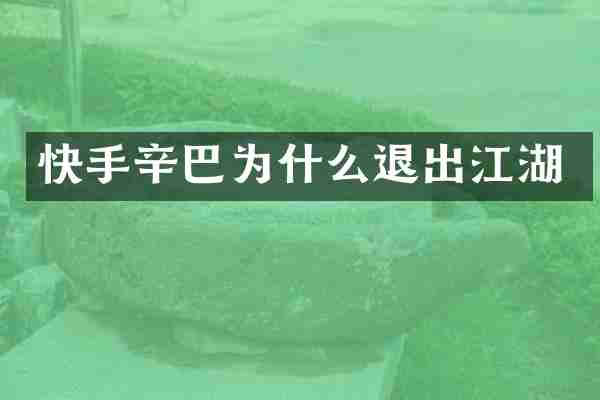 快手辛巴为什么退出江湖