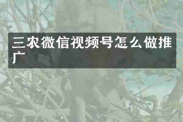 三农微信视频号怎么做推广